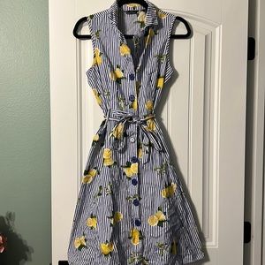 Blue and white striped lemon button up dress